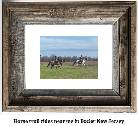 horse trail rides near me in Butler, New Jersey